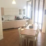 بيت ضيافة Lady