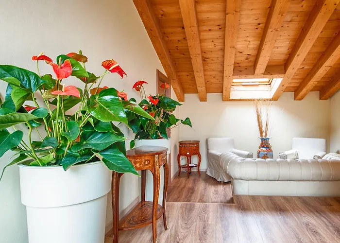 Lady Guest house 4*